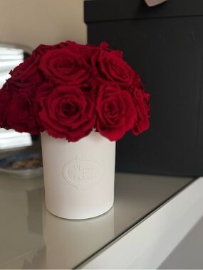 Venus Et Fleur Red Preserved Rose Bouquet in White Porcelain Vase